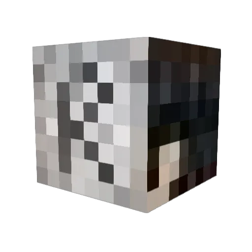 FalconHunter914 Minecraft avatar head, 3D render