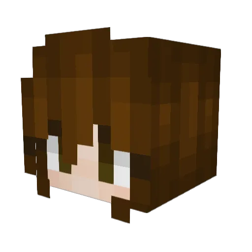 FalconKitty Minecraft avatar head, 3D render