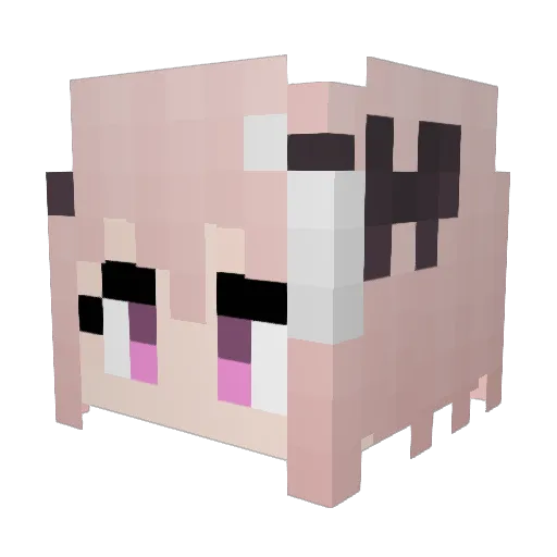 FalconMFilms Minecraft avatar head, 3D render