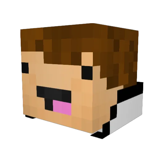 FalconMan501 Minecraft avatar head, 3D render