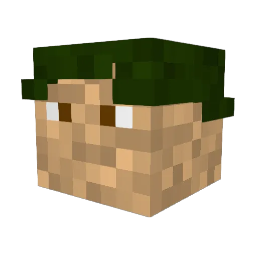 FalconView Minecraft avatar head, 3D render