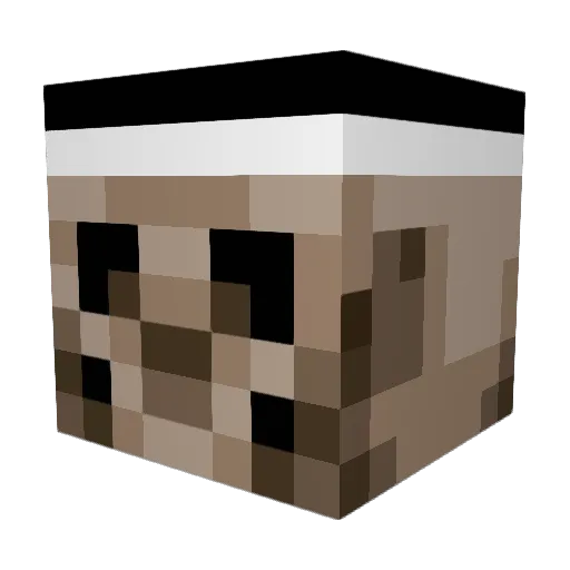 FalconWillz Minecraft avatar head, 3D render