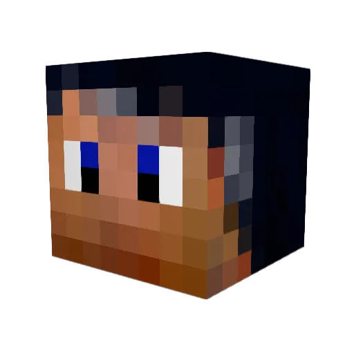 Falcon_Zeta Minecraft avatar head, 3D render