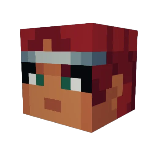 Falconer117 Minecraft avatar head, 3D render