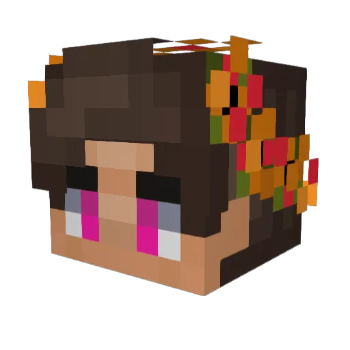 Falcontor Minecraft avatar head, 3D render