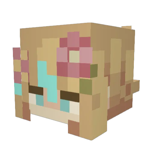 Falcookie Minecraft avatar head, 3D render