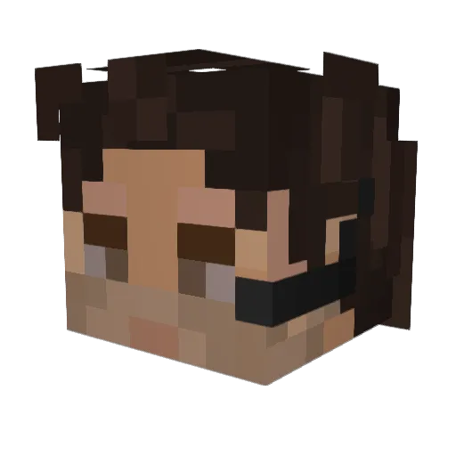 Falcx_ Minecraft avatar head, 3D render
