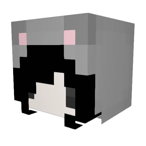 Faldita Minecraft avatar head, 3D render