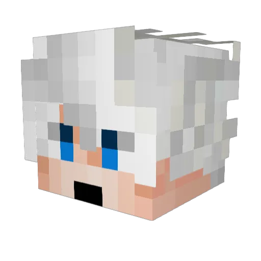 Falido_ Minecraft avatar head, 3D render
