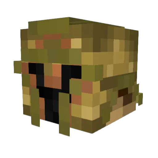 Falipas Minecraft avatar head, 3D render