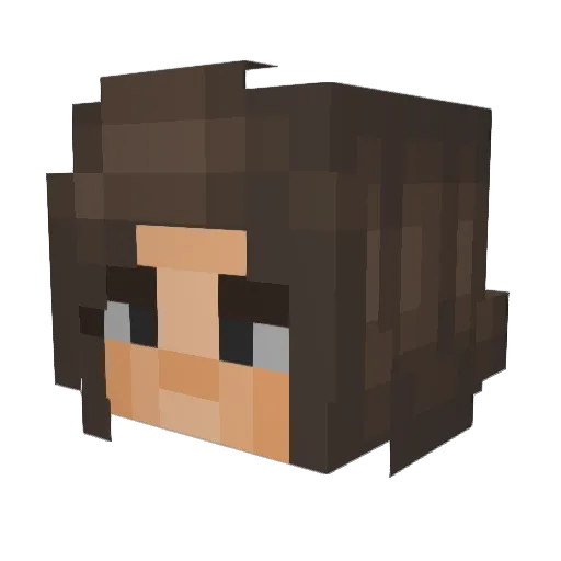 Falka7126 Minecraft avatar head, 3D render
