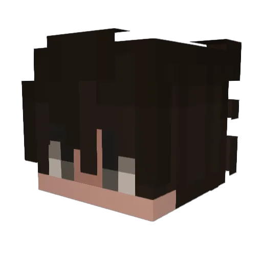 Falken23 Minecraft avatar head, 3D render