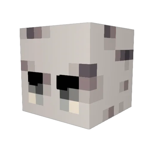 Falkenhorst312 Minecraft avatar head, 3D render