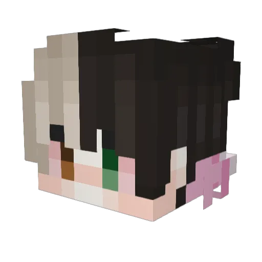 Fall1n11 Minecraft avatar head, 3D render