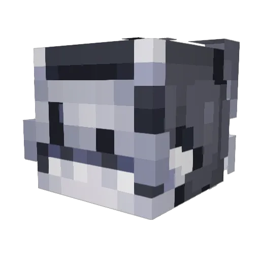Fall20 Minecraft avatar head, 3D render