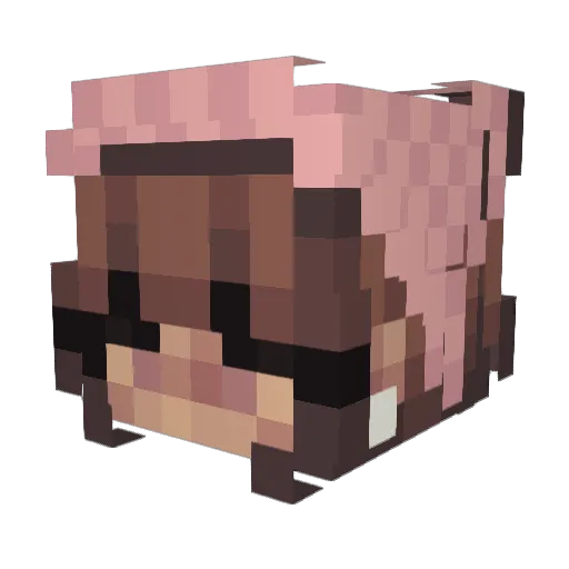 FallCrayfish463 Minecraft avatar head, 3D render