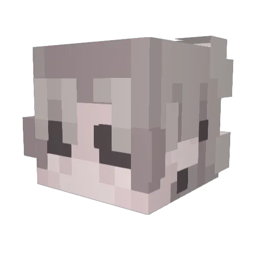FallFilip Minecraft avatar head, 3D render