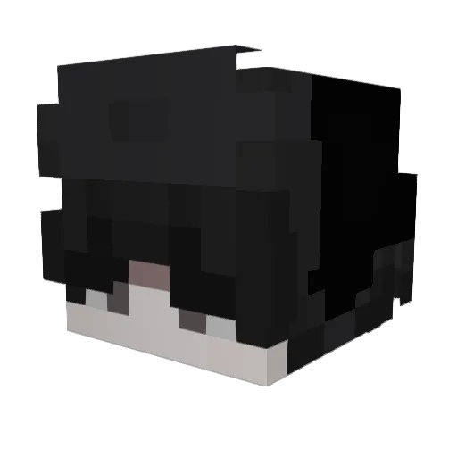 FallGuy56 Minecraft avatar head, 3D render