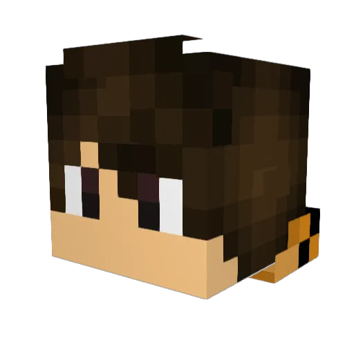 FallHydra439434 Minecraft avatar head, 3D render
