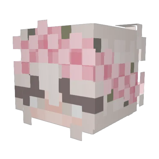 FallJupiter Minecraft avatar head, 3D render