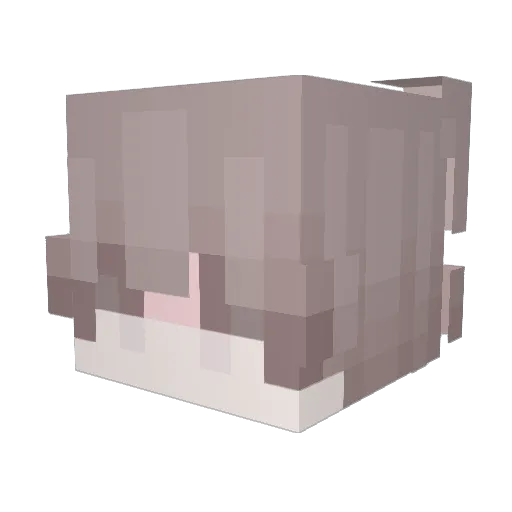 FallOfTheHell Minecraft avatar head, 3D render
