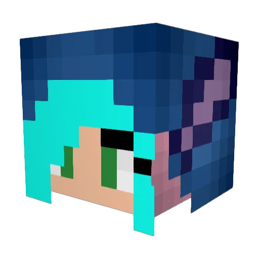FallOutKitty Minecraft avatar head, 3D render