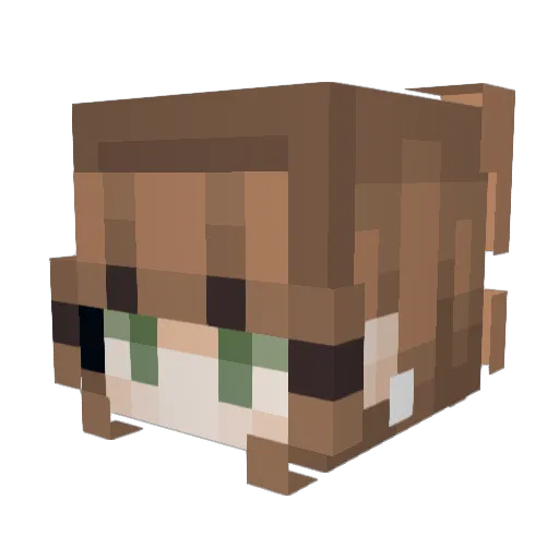 FallSky49 Minecraft avatar head, 3D render