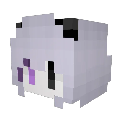 Fall_Flower Minecraft avatar head, 3D render