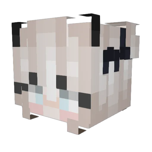 Fall_out_disco Minecraft avatar head, 3D render