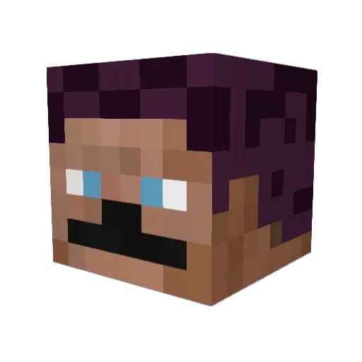 Fall_ss1029 Minecraft avatar head, 3D render