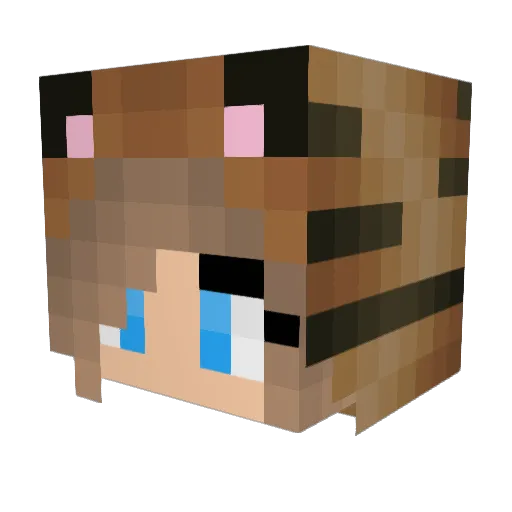 Fallaronron Minecraft avatar head, 3D render