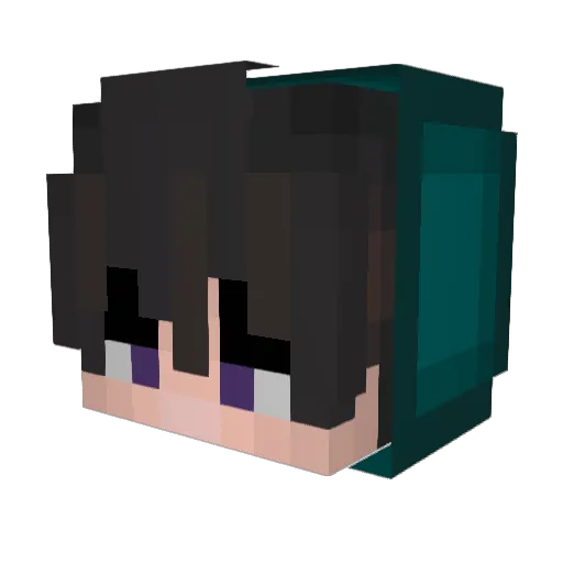 FalleN077 Minecraft avatar head, 3D render