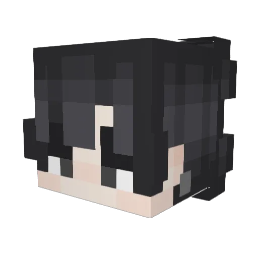 Fallen2k Minecraft avatar head, 3D render