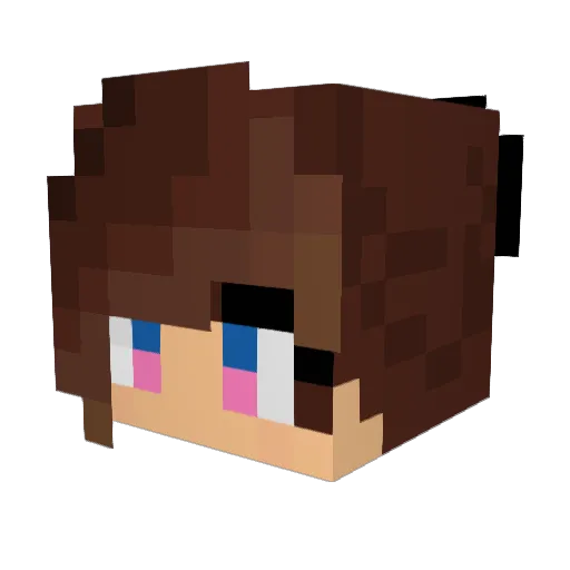Fallen9733 Minecraft avatar head, 3D render