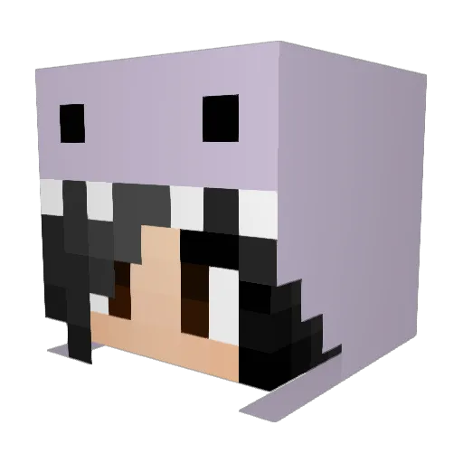 FallenAngel19 Minecraft avatar head, 3D render