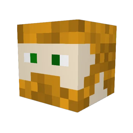 FallenComet1234 Minecraft avatar head, 3D render