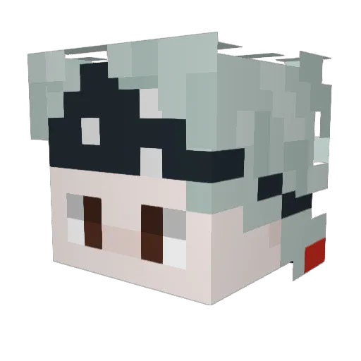 FallenDrake Minecraft avatar head, 3D render