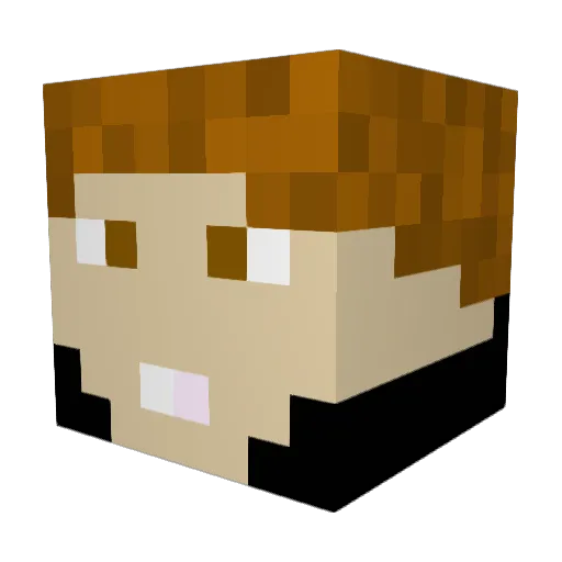 FallenGamer20 Minecraft avatar head, 3D render