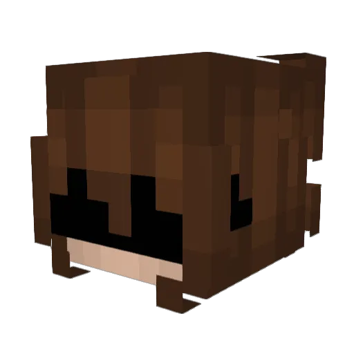 FallenHunter_ Minecraft avatar head, 3D render