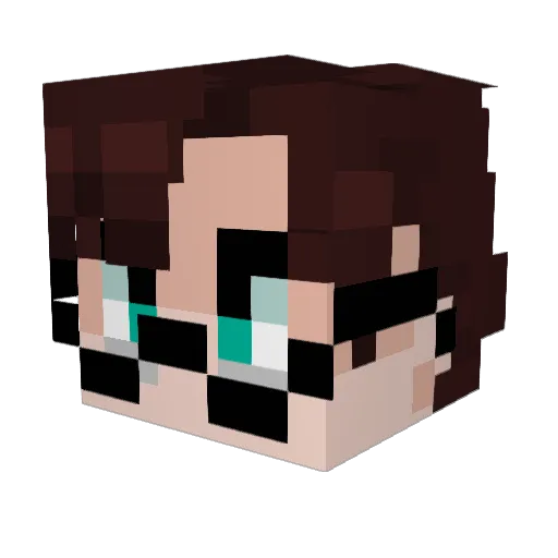 FallenKing465 Minecraft avatar head, 3D render