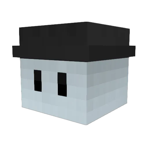 FallenMaster123 Minecraft avatar head, 3D render