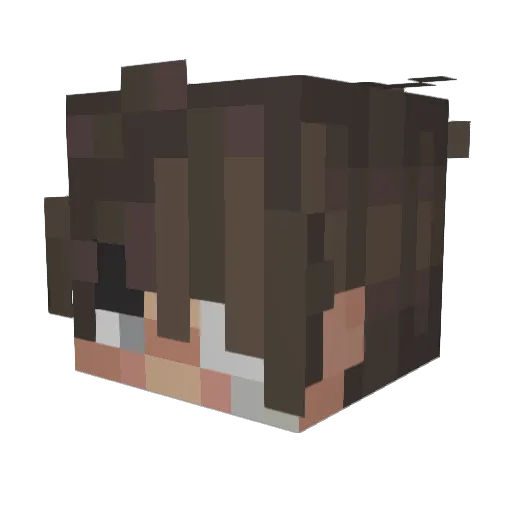 FallenMemorys Minecraft avatar head, 3D render