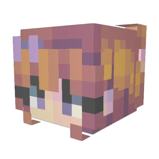 FallenSheria Minecraft avatar head, 3D render