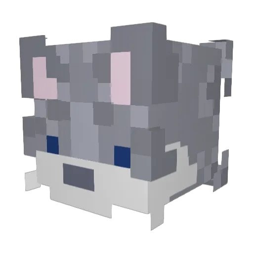 FallenSt4rr Minecraft avatar head, 3D render