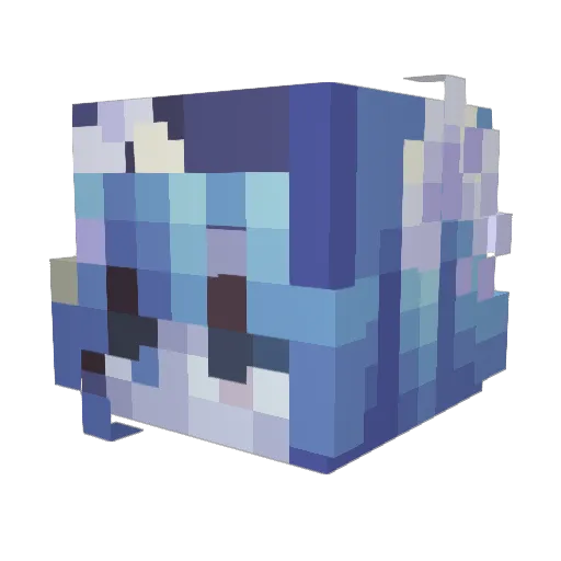 FallenWinter007 Minecraft avatar head, 3D render