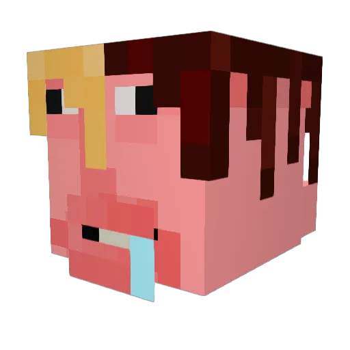 Fallen_City_ Minecraft avatar head, 3D render