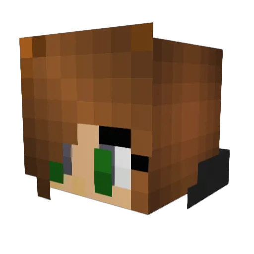 Fallen_Fay Minecraft avatar head, 3D render