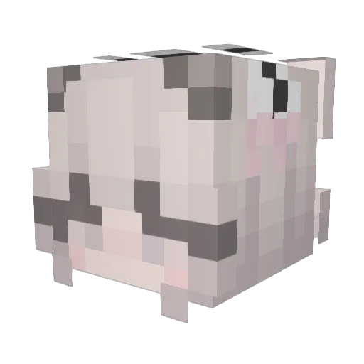 Fallen_Leaves233 Minecraft avatar head, 3D render