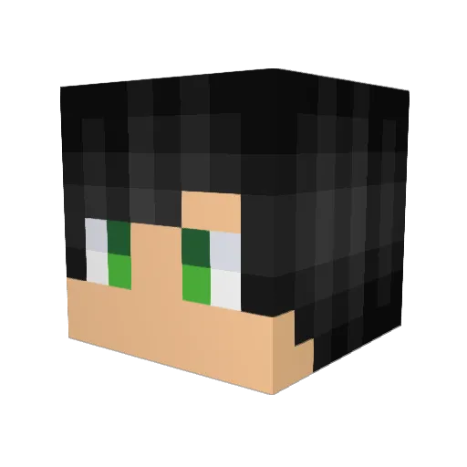Fallen_One Minecraft avatar head, 3D render
