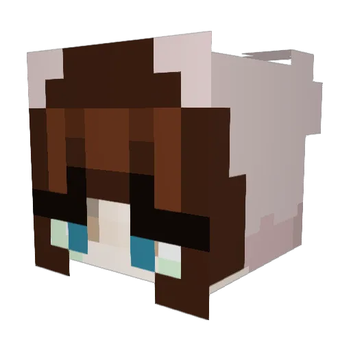 Fallen_Outlaws Minecraft avatar head, 3D render